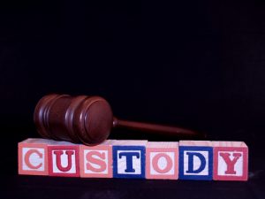 Las Cruces Custody & Time Sharing Attorneys